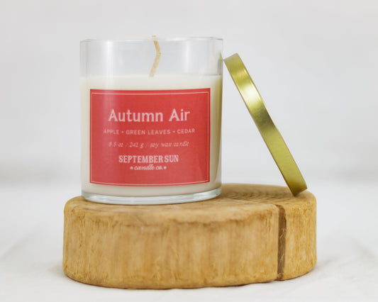 Autumn Air 8.5 oz Candle