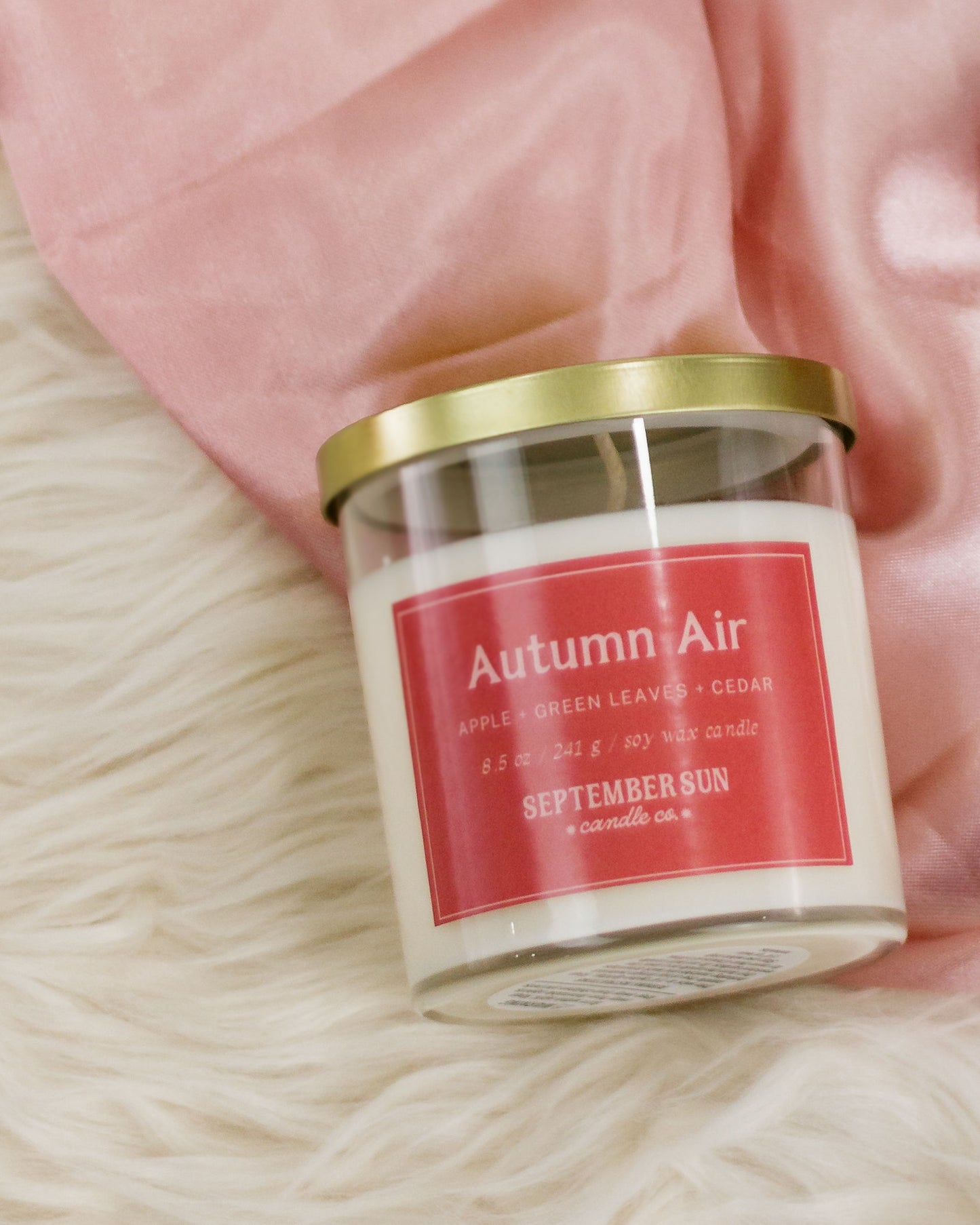 Autumn Air 8.5 oz Candle