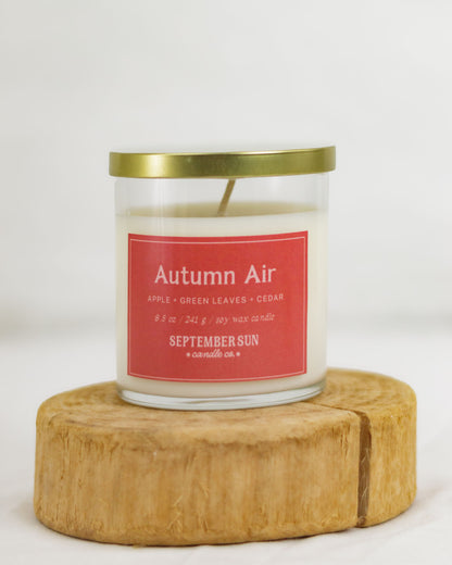 Autumn Air 8.5 oz Candle
