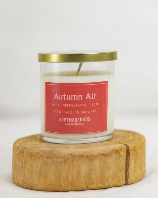 Autumn Air 8.5 oz Candle
