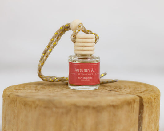 Autumn Air Car Diffuser