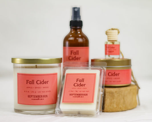 Fall Cider Wax Melt