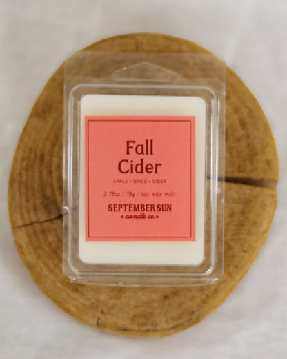 Fall Cider Wax Melt