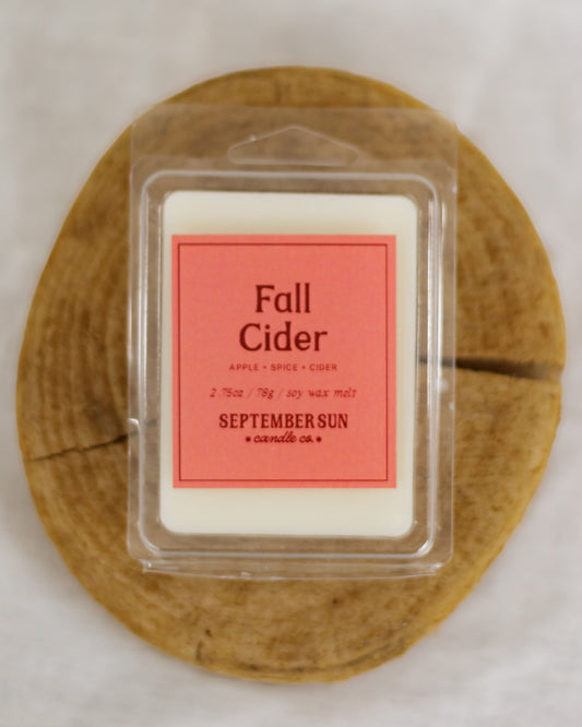 Fall Cider Wax Melt
