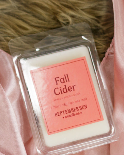 Fall Cider Wax Melt