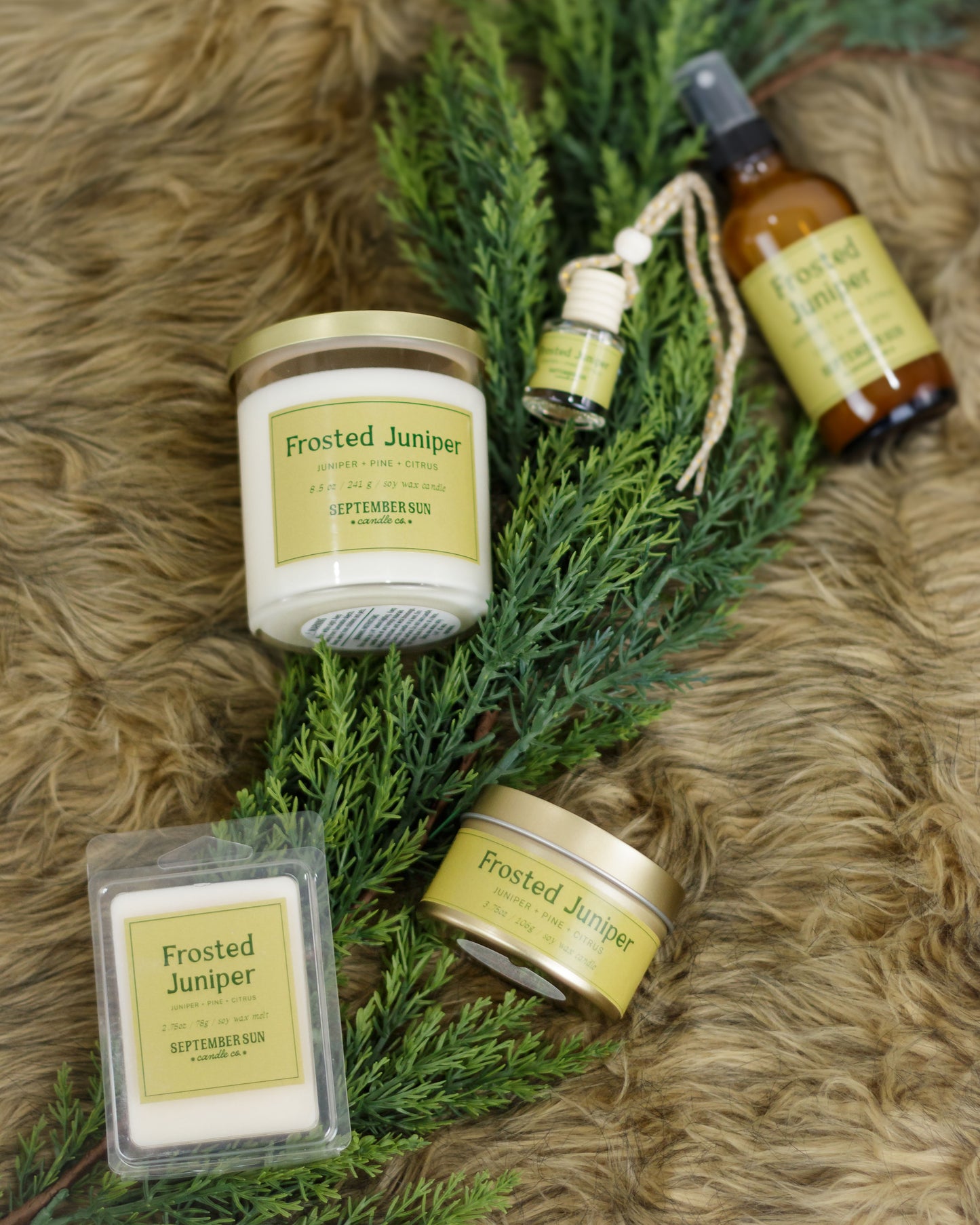 Frosted Juniper 8.5 oz Candle