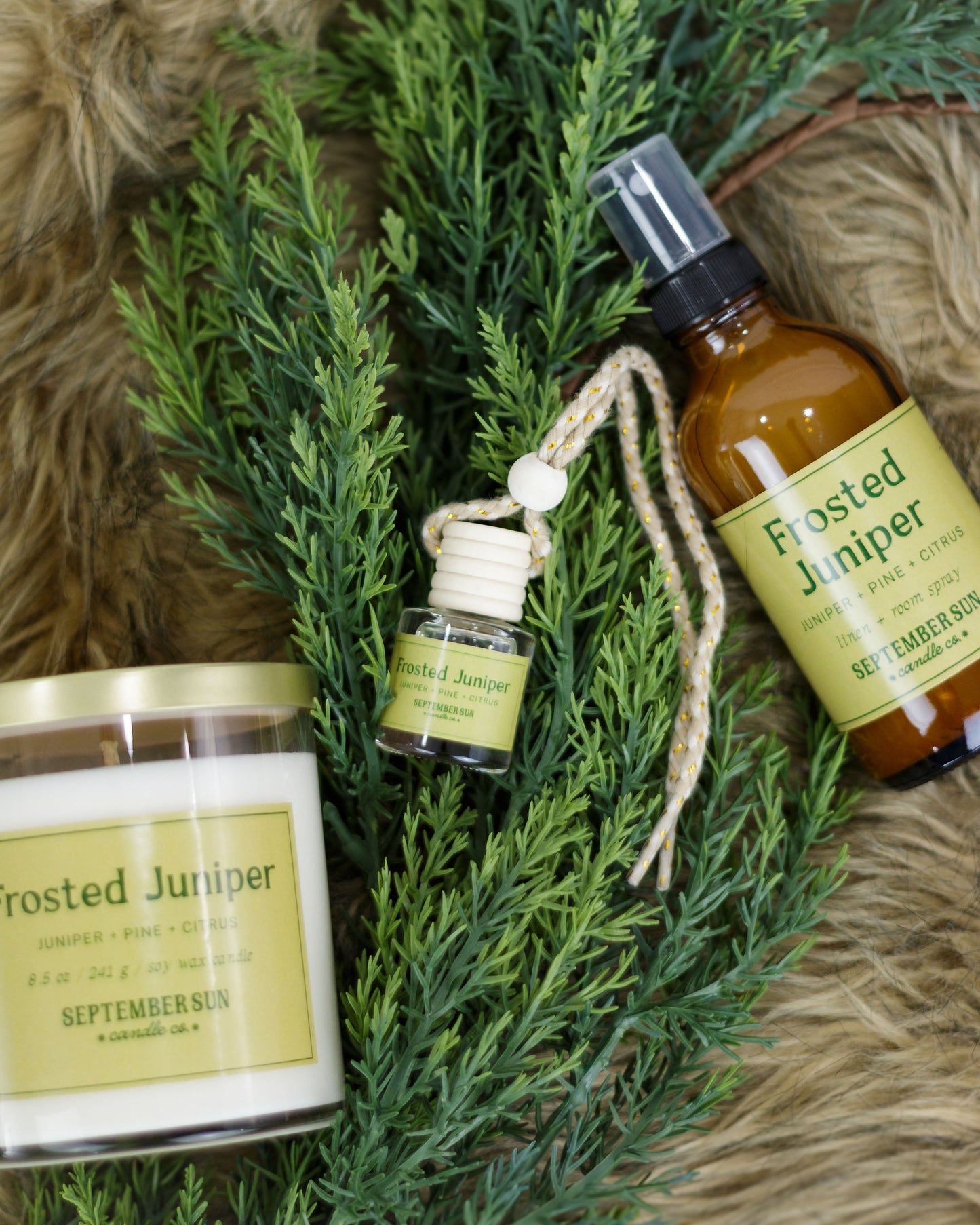 Frosted Juniper 8.5 oz Candle