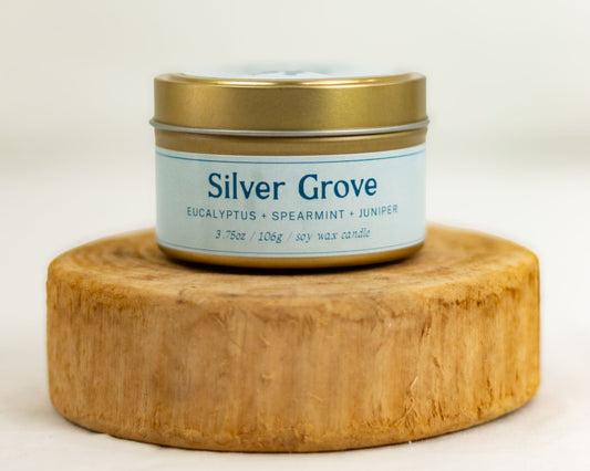 Silver Grove 3.75 oz Candle