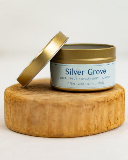 Silver Grove 3.75 oz Candle