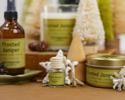 Frosted Juniper 3.75 oz Candle