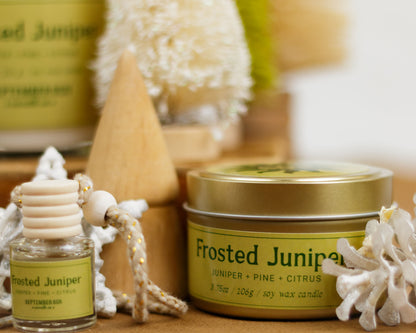 Frosted Juniper 3.75 oz Candle